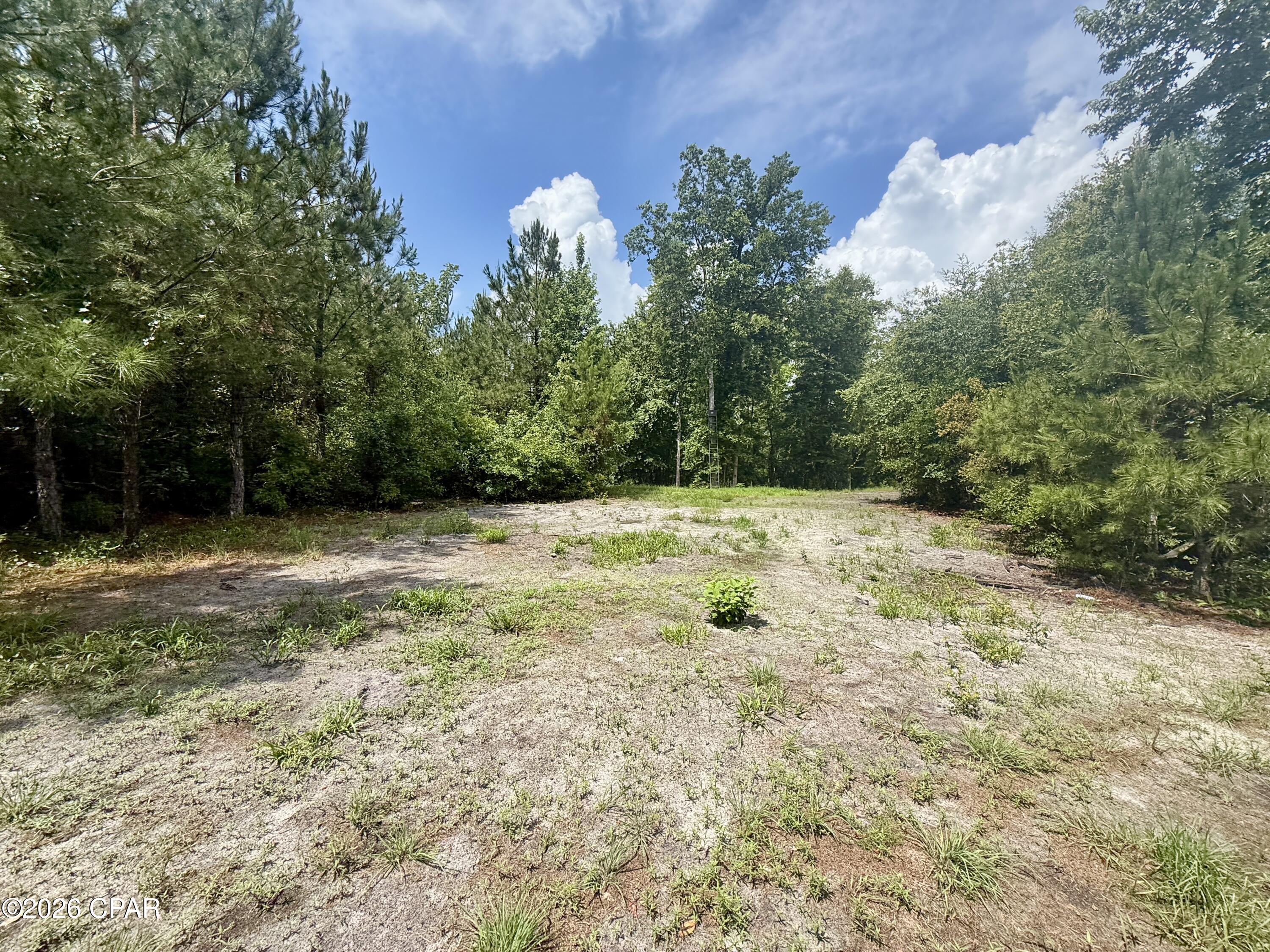 14567 C J Roberts Road Blountstown, FL 32424 - Photo 24 of 38