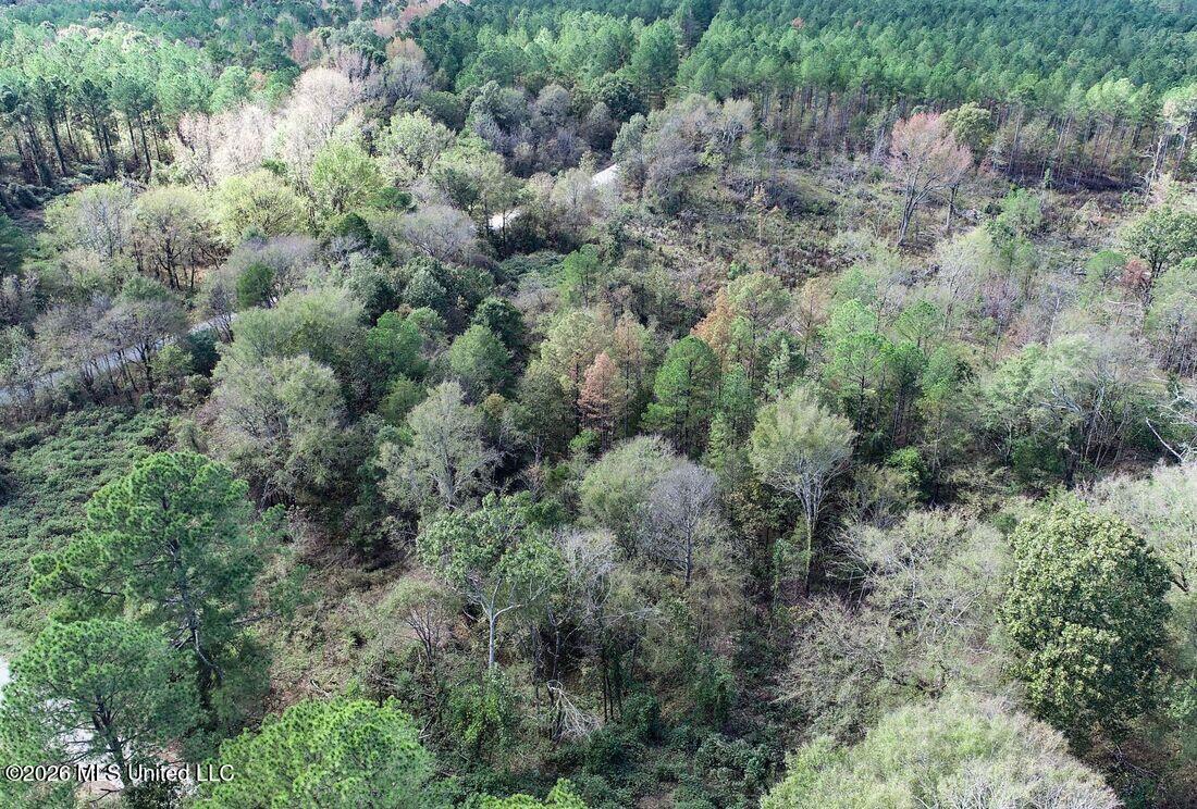 154 County Road Tillatoba, MS 38961 - Photo 13 of 58 4kgrdn53-orig_orig