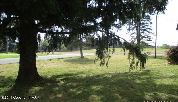 yard