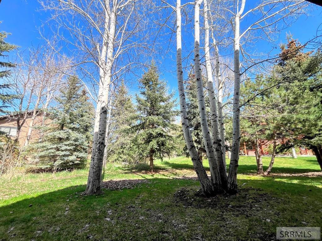 220 Homestead Drive, Unit 203 Victor, ID 83455 - Photo 18 of 21