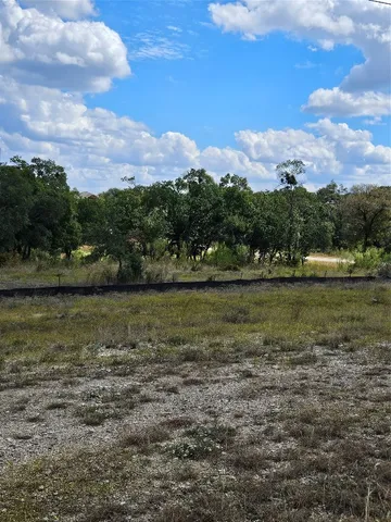 a view of a dry yard with trees