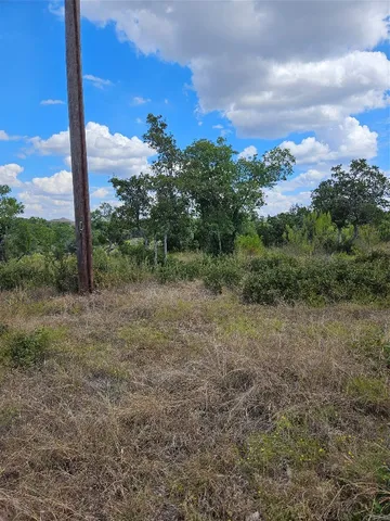 a view of a lush green forest