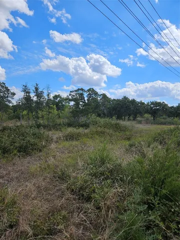 a view of a big yard with an tree
