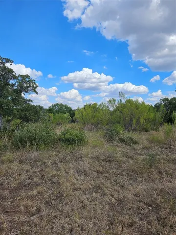 a view of a field with trees in background