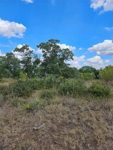 a view of a field with trees in the background