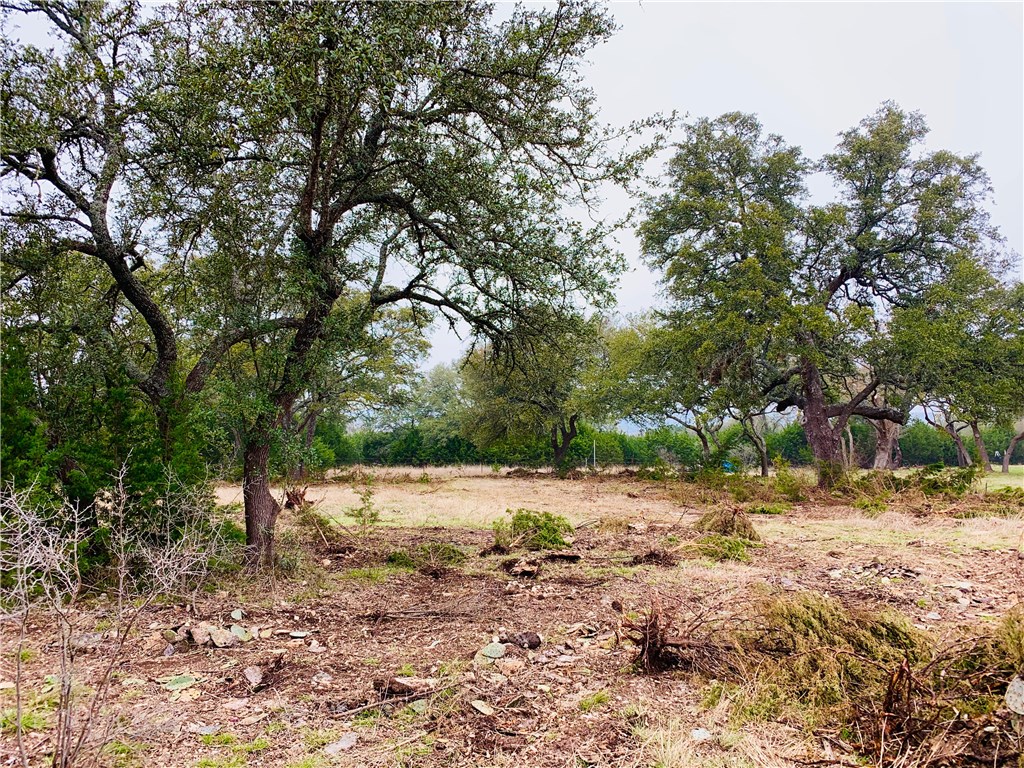 a view of dirt yard with a tree