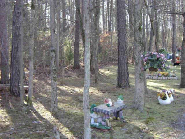 306 Shambley Road Mebane, NC 27302 - Photo 2 of 12 Great wooded lot