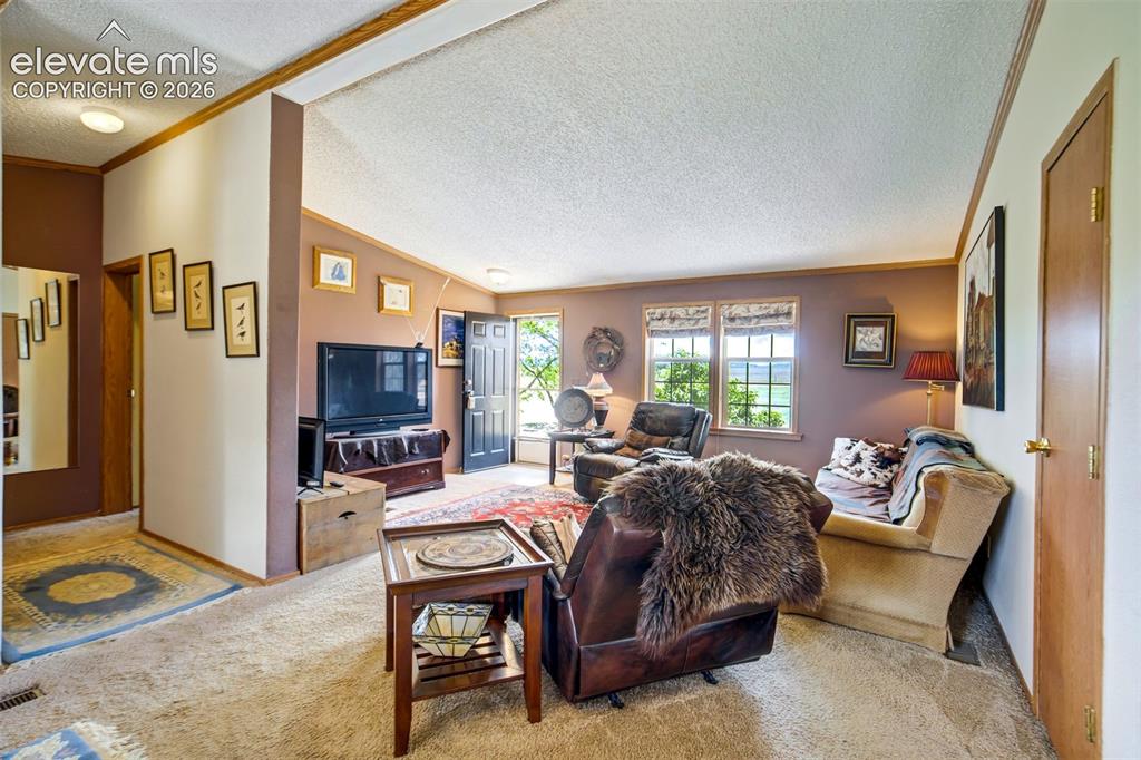 22120 McDaniels Road Calhan, CO 80808 - Photo 5 of 49