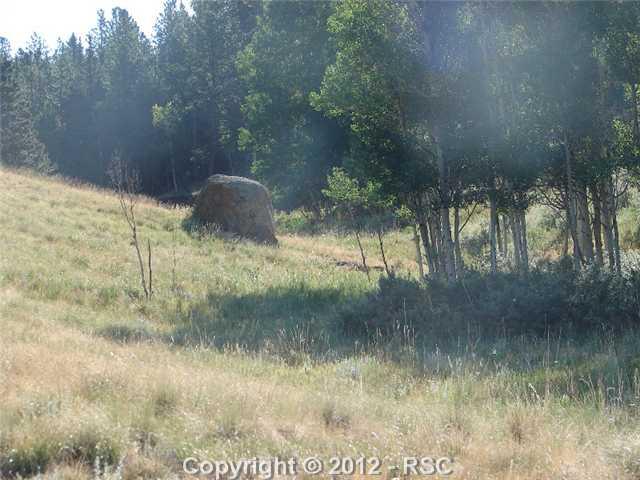 123 Spring Valley Circle Divide, CO 80814 - Photo 5 of 12 Gallery Image 5