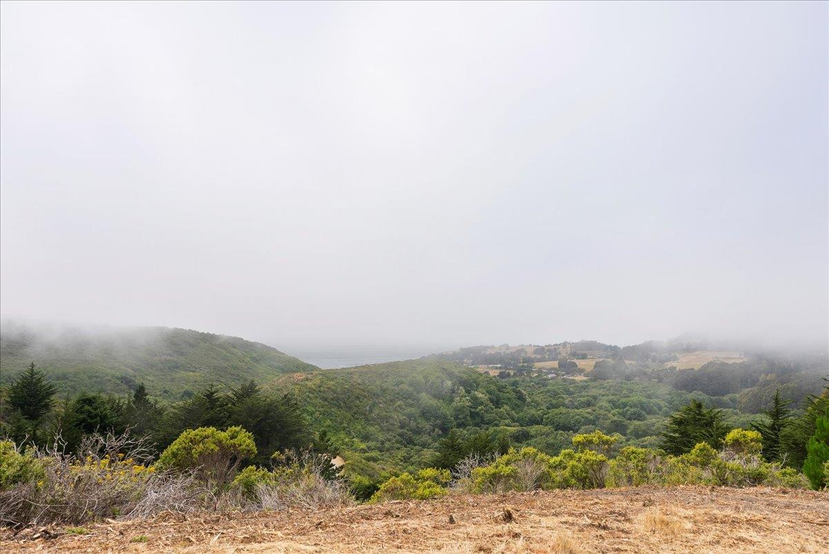 0 Stage Road San Gregorio, CA 94074 - Photo 39 of 48 a view of a road with mountains in the background