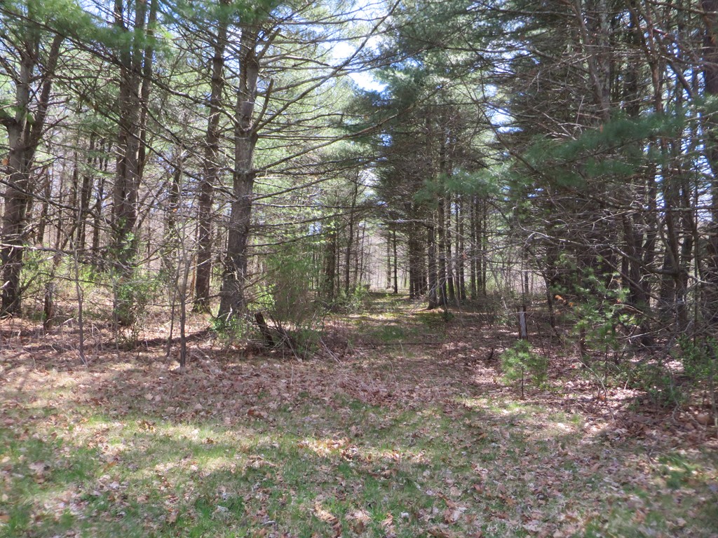 0 Boston Road Palmer, MA 01069 - Photo 3 of 10 Gallery Image 3