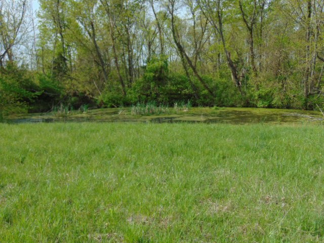 Cull Road Worthville, KY 41098 - Photo 13 of 29 Gallery Image 13
