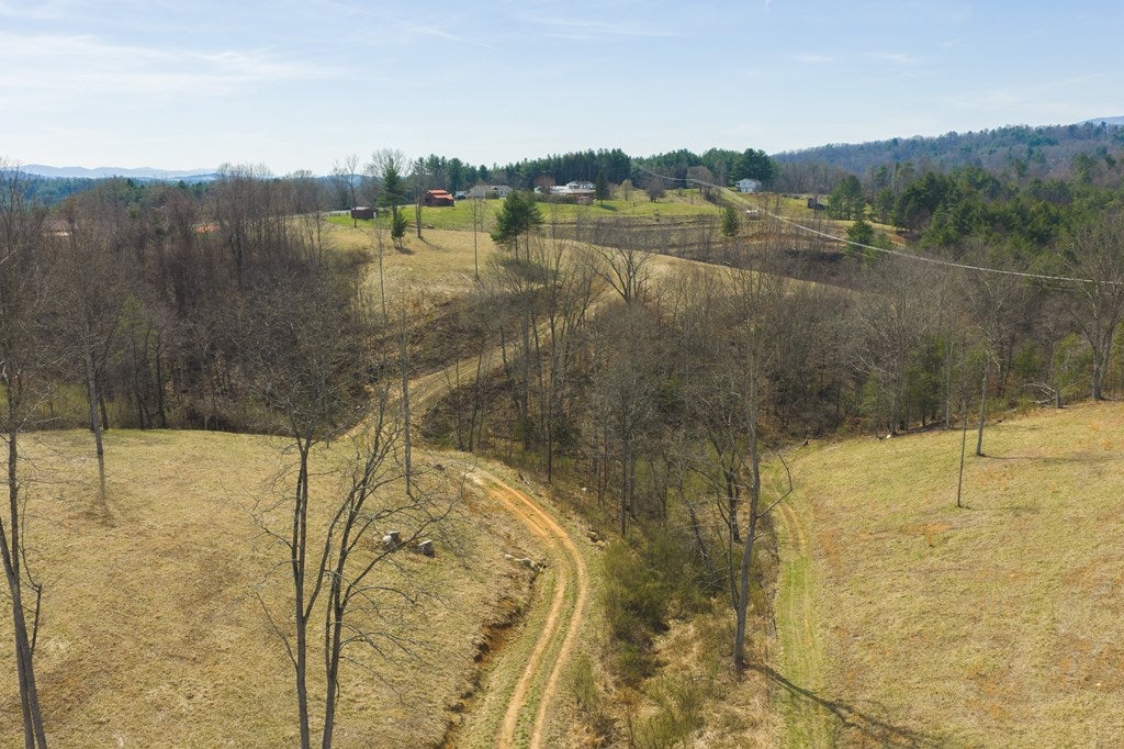 Tbd Carsonville Road Independence, VA 24348 - Photo 6 of 43 Gallery Image 6