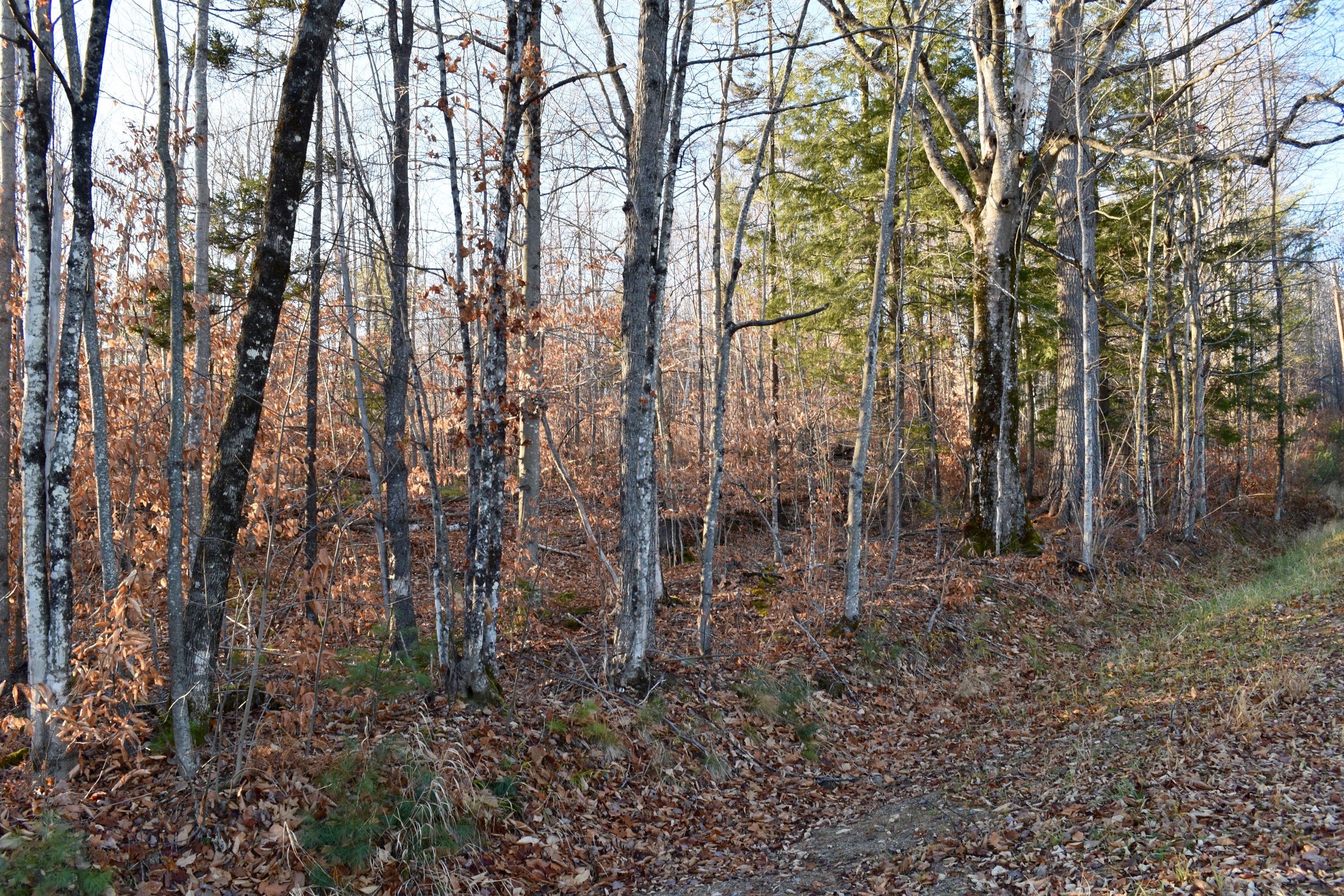 DSC_1541