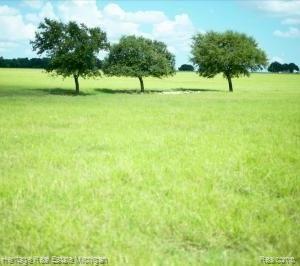 2858 Steinacker Road Howell, MI 48855 - Photo 1 of 1 VACANT LAND.jpg