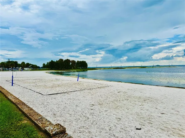 a view of a park with a tree