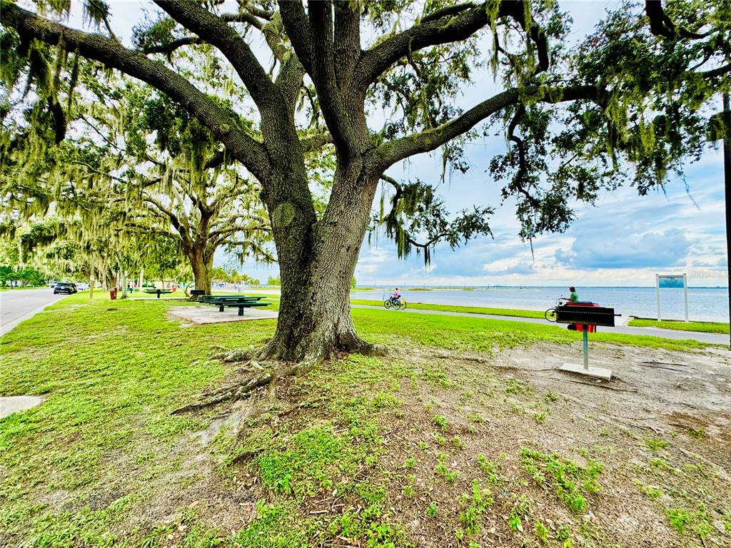 2615 Hickory Tree Road St. Cloud, FL 34771 - Photo 22 of 22 a view of a park with a tree