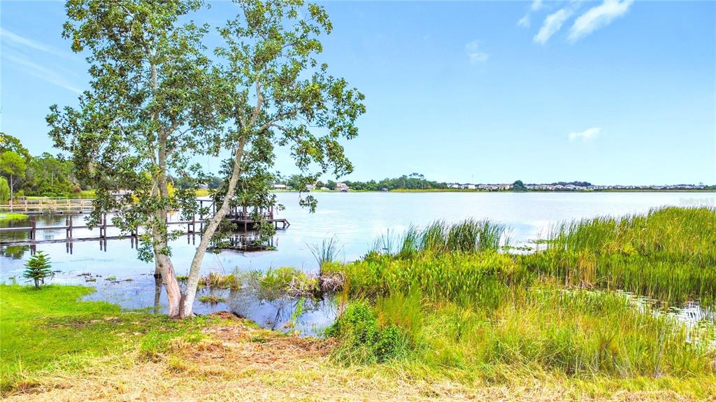 2615 Hickory Tree Road St. Cloud, FL 34771 - Photo 7 of 22 a view of lake with houses