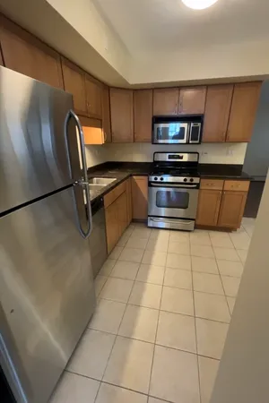 $1,595 | 317 Wisconsin Avenue, Unit 1C, Oak Park, IL 60302