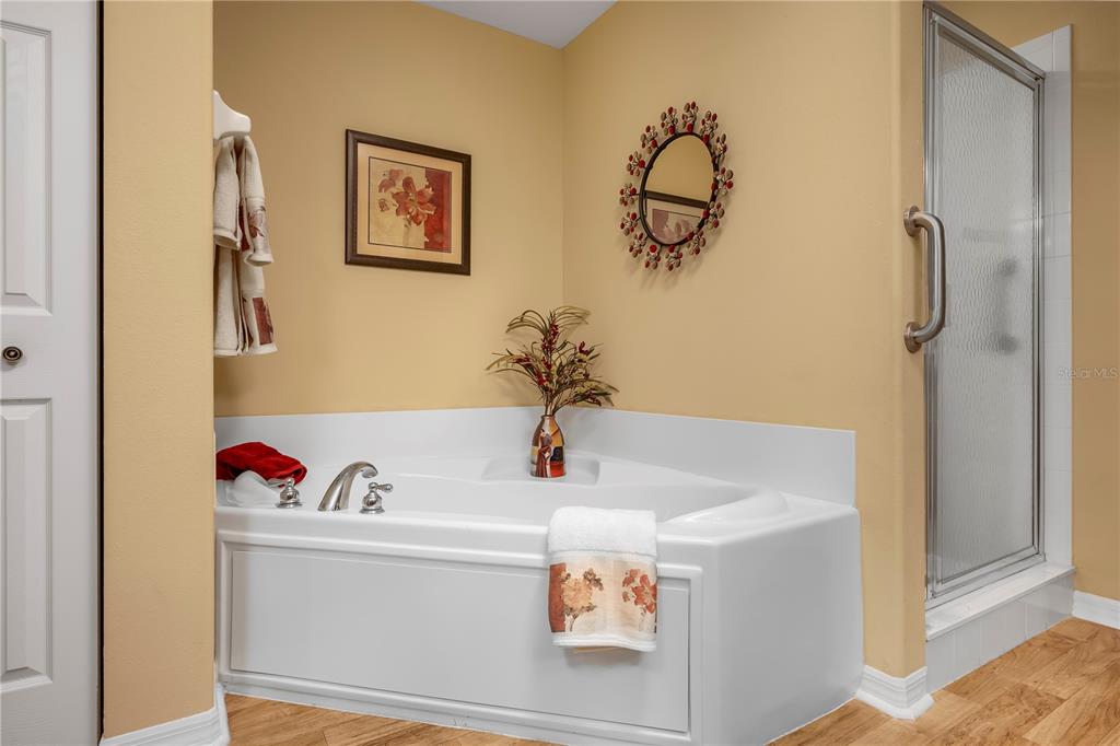 8180 Southwest 80th Terrace Ocala, FL 34476 - Photo 23 of 34 a bathroom with a bathtub