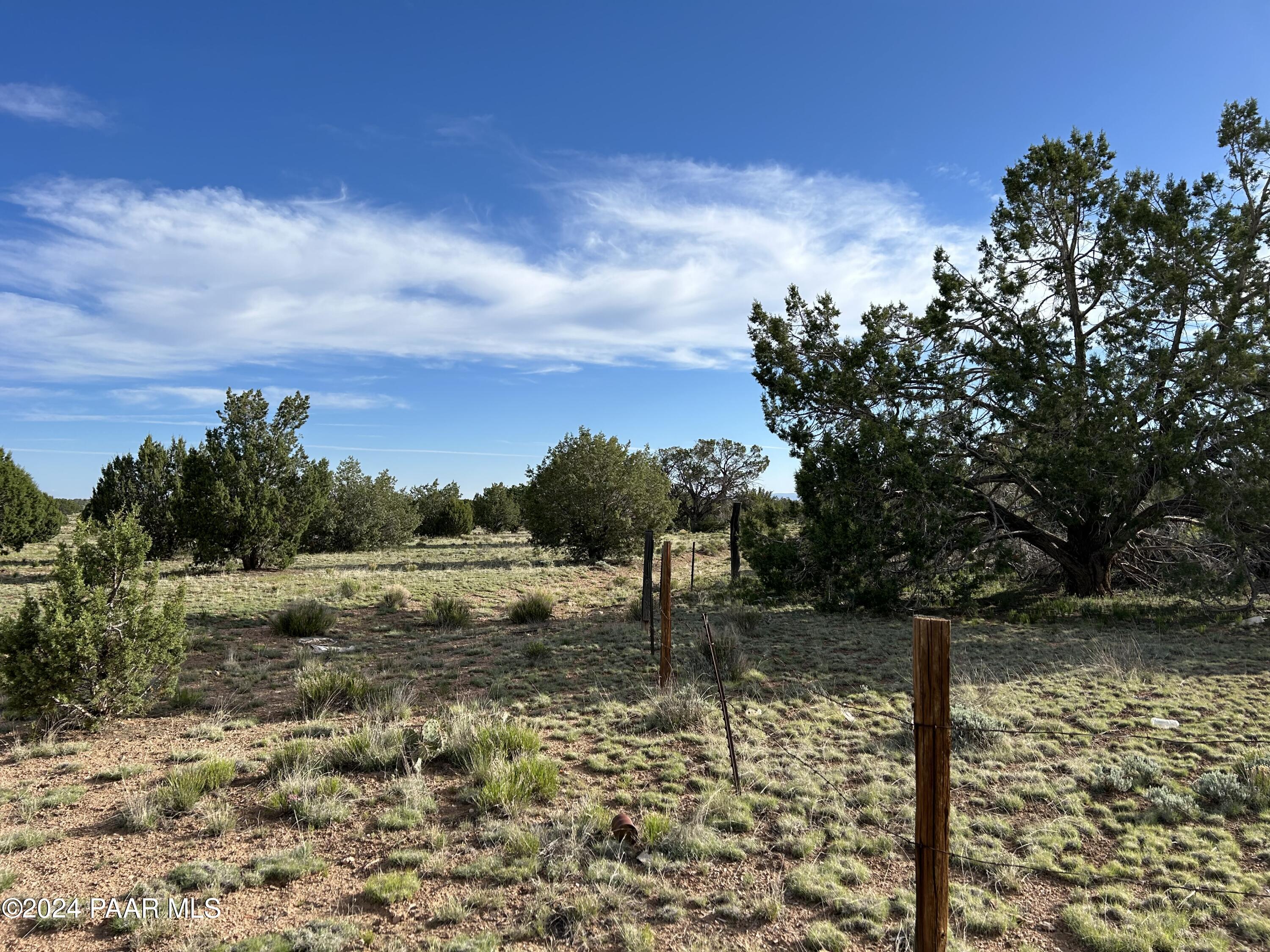 0 Off Pumphouse Road Seligman, AZ 86337 - Photo 4 of 8 a view of lake view with trees