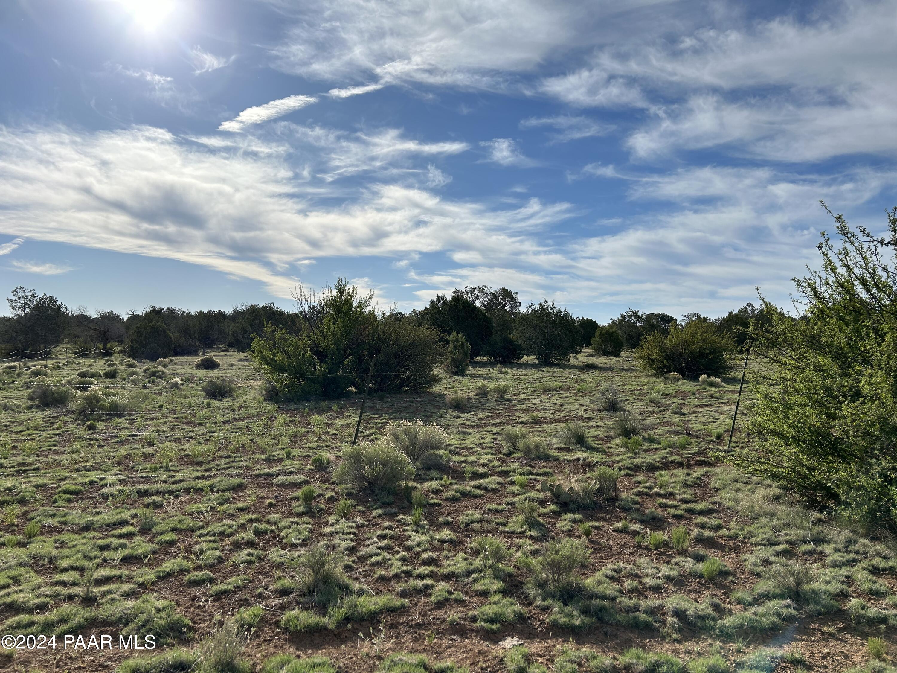 0 Off Pumphouse Road Seligman, AZ 86337 - Photo 5 of 8 a view of a field with trees in the background