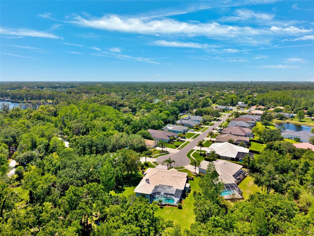 6901 Arabian Road Odessa, FL 33556 - Photo 57 of 70 Gallery Image 57