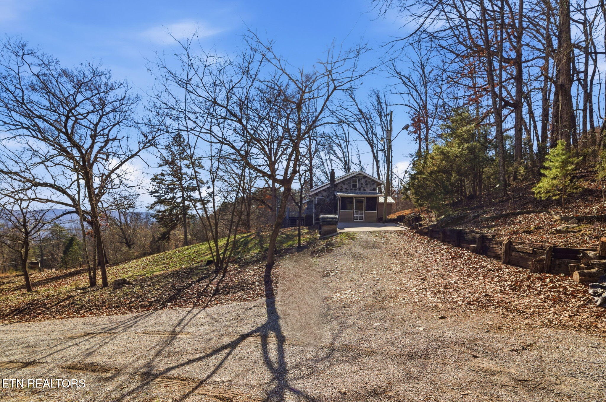 93 Bell Summers Road Pikeville, TN 37367 - Photo 43 of 45 1-web-or-mls-DZ3A2929