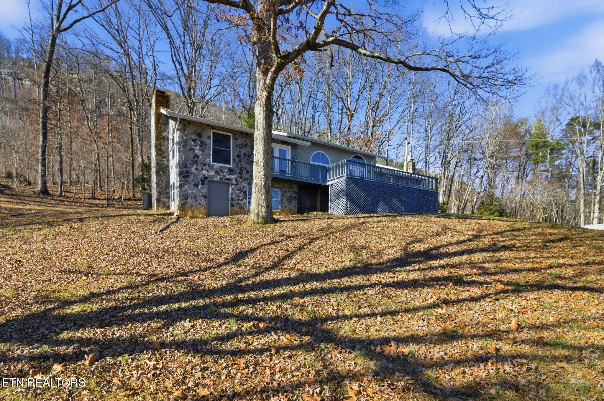 93 Bell Summers Road Pikeville, TN 37367 - Photo 6 of 45 6-web-or-mls-DZ3A2949