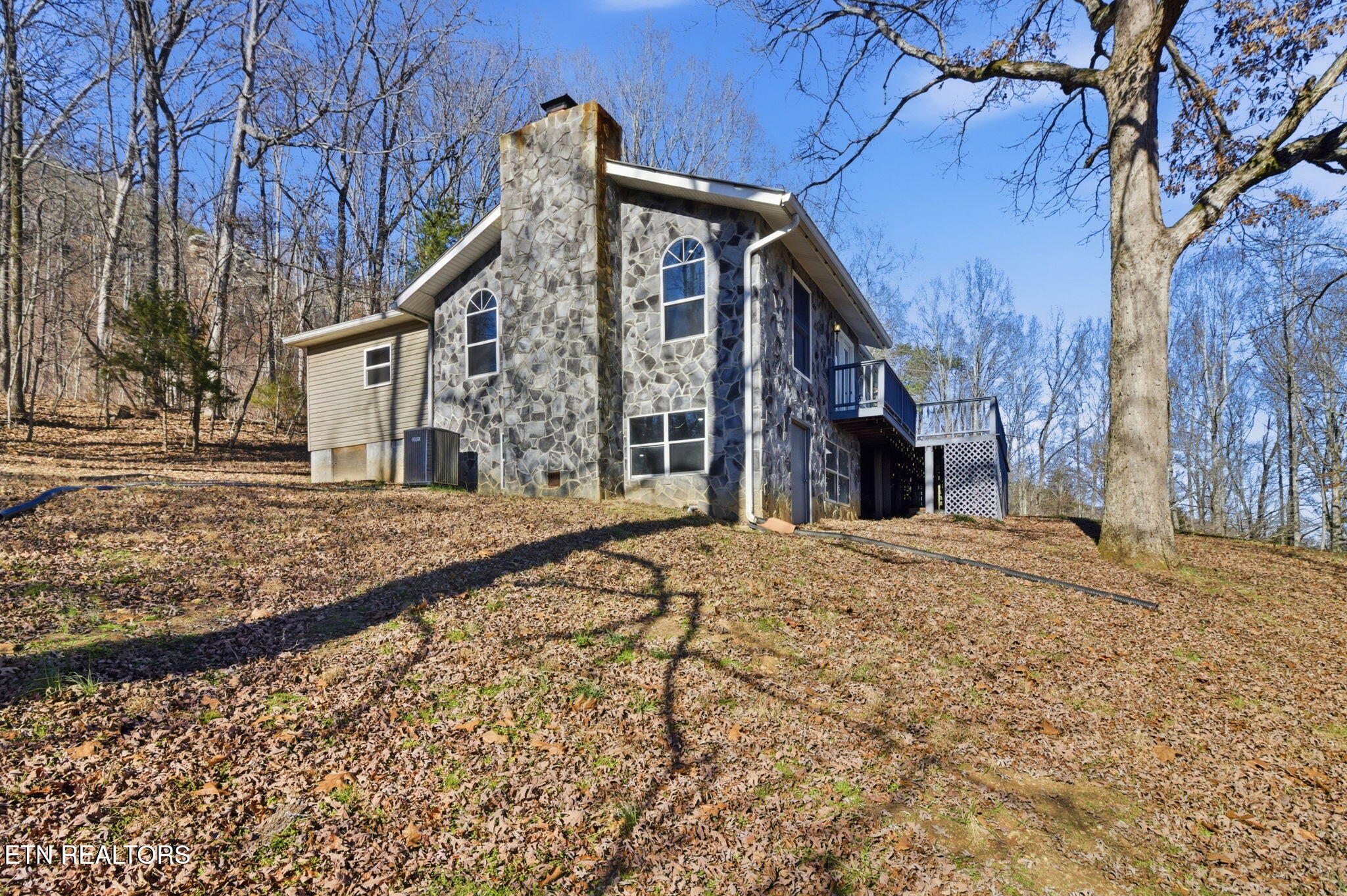 93 Bell Summers Road Pikeville, TN 37367 - Photo 7 of 45 7-web-or-mls-DZ3A2953