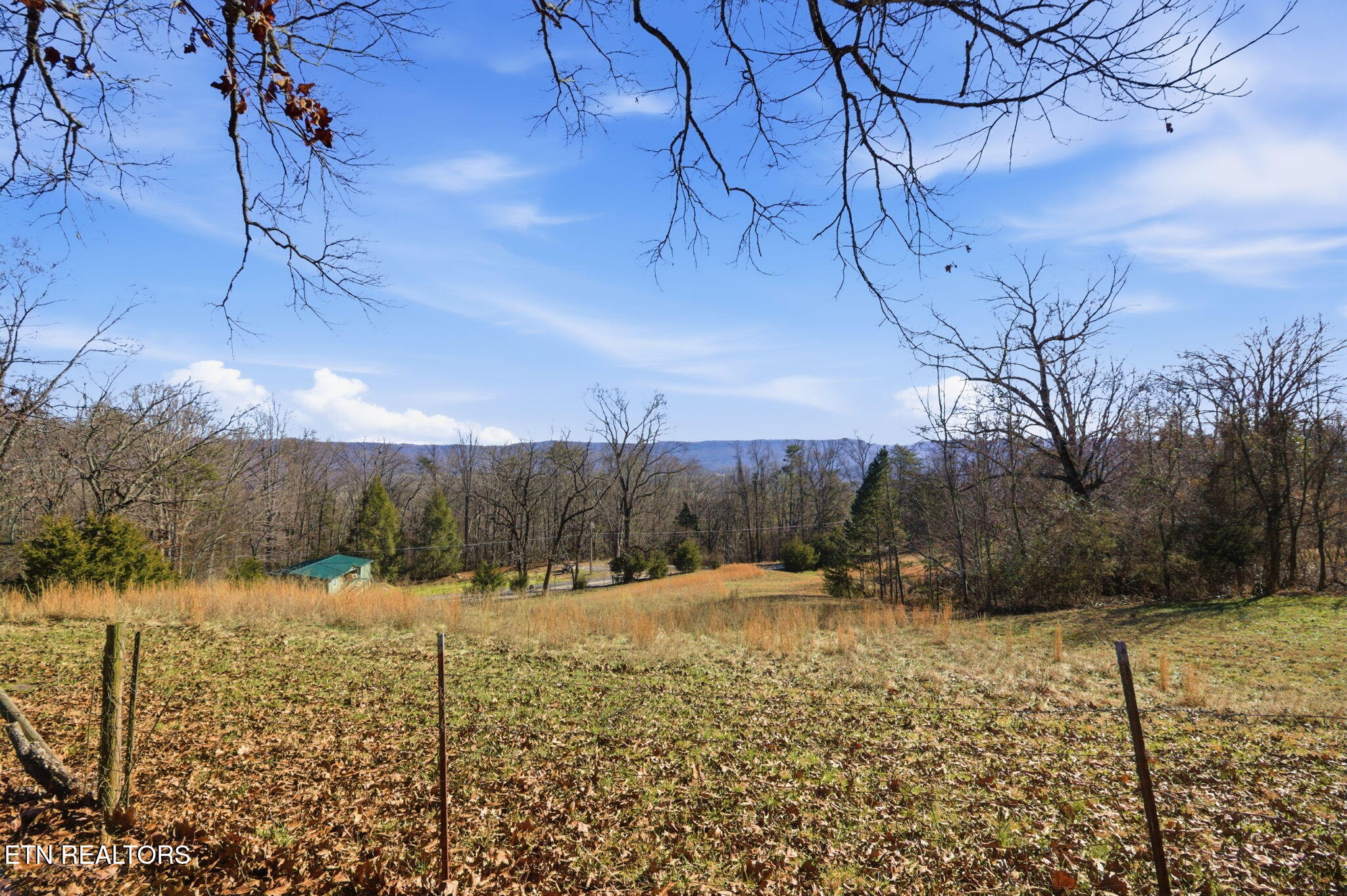 93 Bell Summers Road Pikeville, TN 37367 - Photo 9 of 45 5-web-or-mls-DZ3A2945