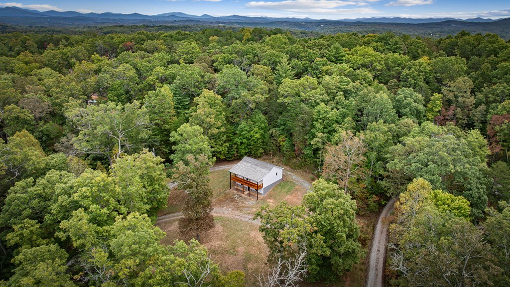 4097 Mobile Road McCaysville, GA 30555 - Photo 47 of 61 Gallery Image 47