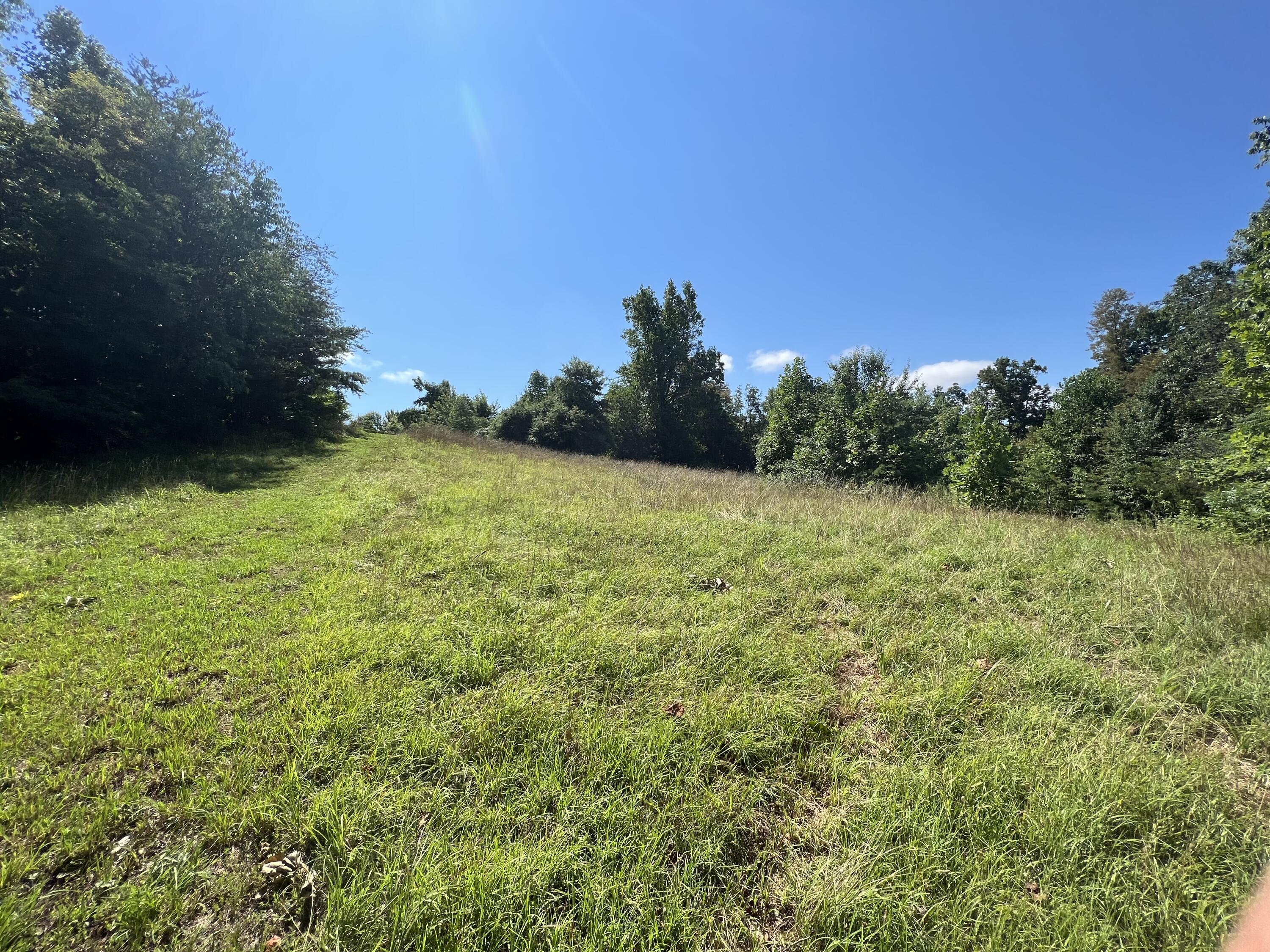 290 Morris Cemetery Road West Liberty, KY 41472 - Photo 15 of 25 Photo Jul 11, 11 17 28 AM