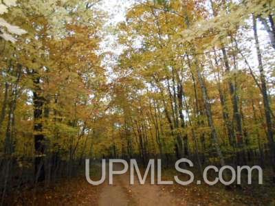 9831 Co Road Rapid River, MI 49878 - Photo 36 of 36