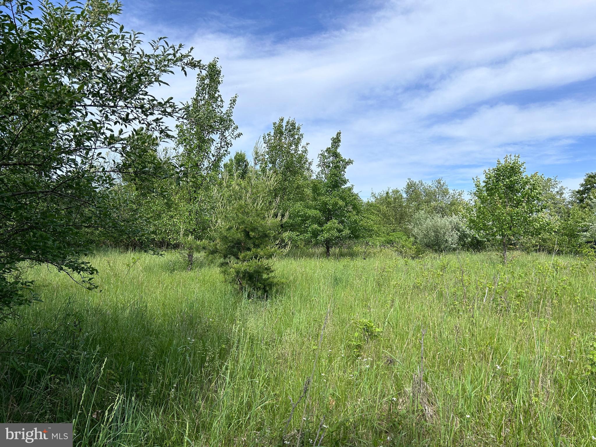 Lot 8 Timber Ridge Road Berkeley Springs, WV 25411 - Photo 1 of 19