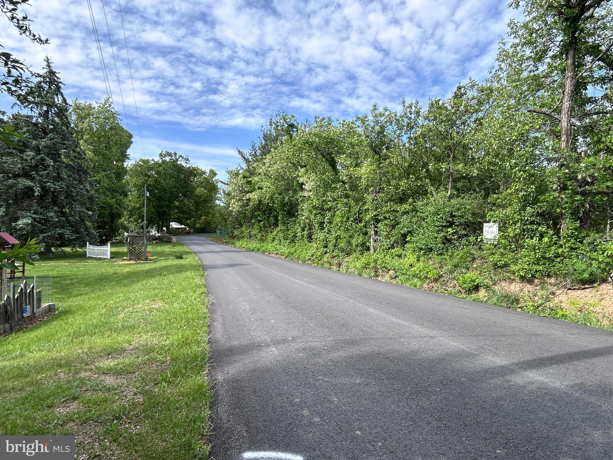 Lot 8 Timber Ridge Road Berkeley Springs, WV 25411 - Photo 17 of 19
