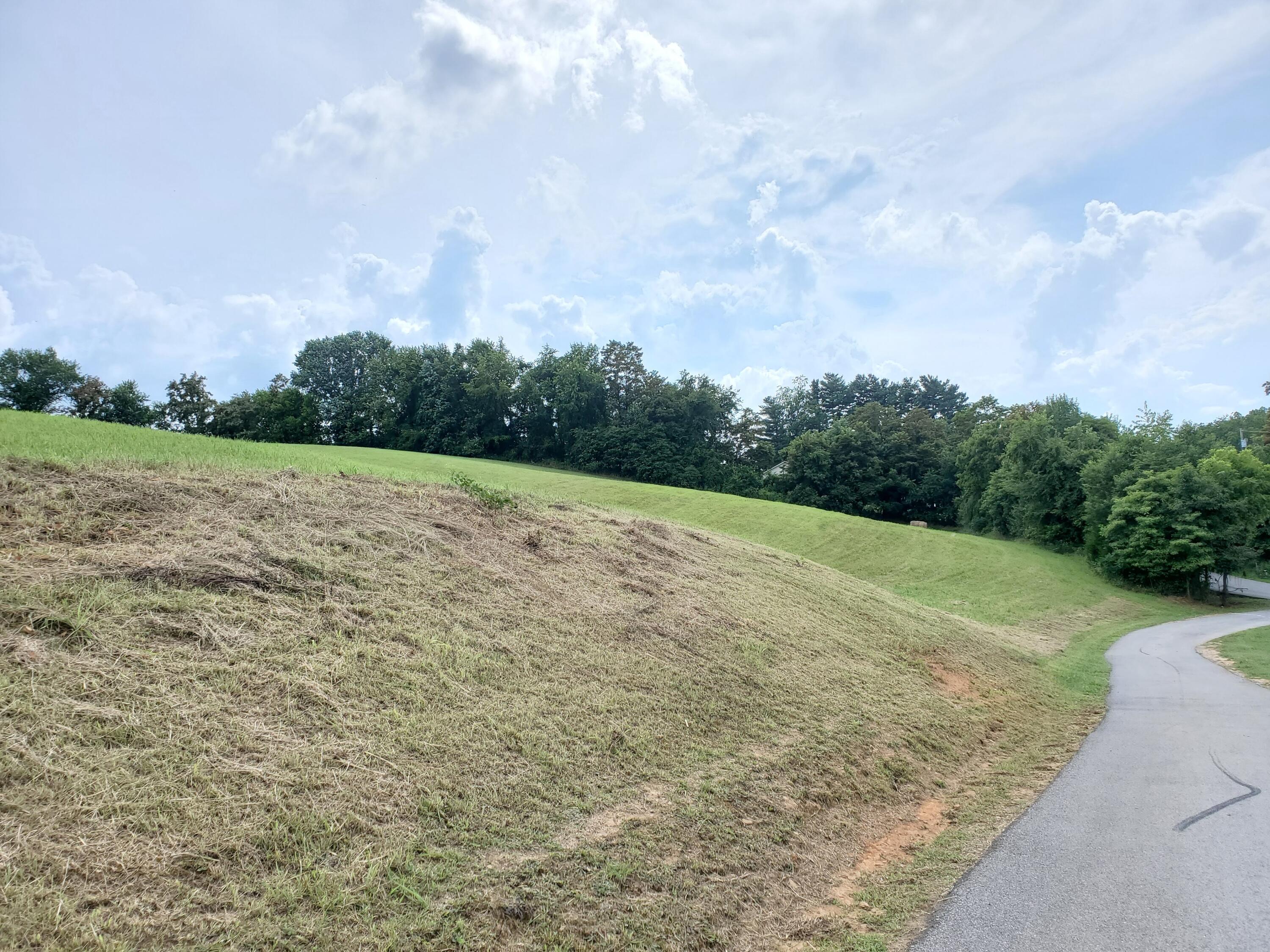Lot 4 Shell Road, Unit 4 Jonesborough, TN 37659 - Photo 1 of 10 1