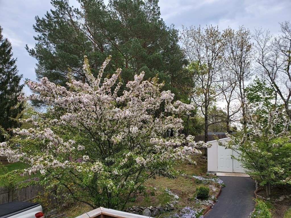 46 Joan Road Boston, MA 02136 - Photo 9 of 42