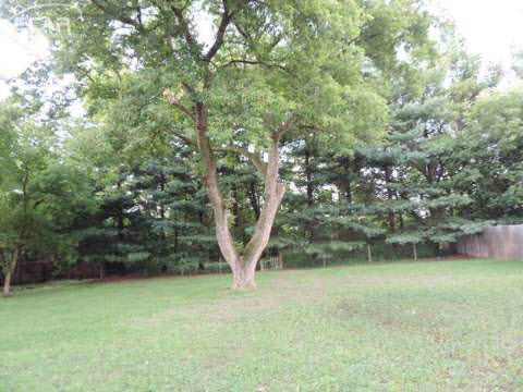 10091 Clark Road Davison, MI 48423 - Photo 14 of 14 20445587-13.JPG