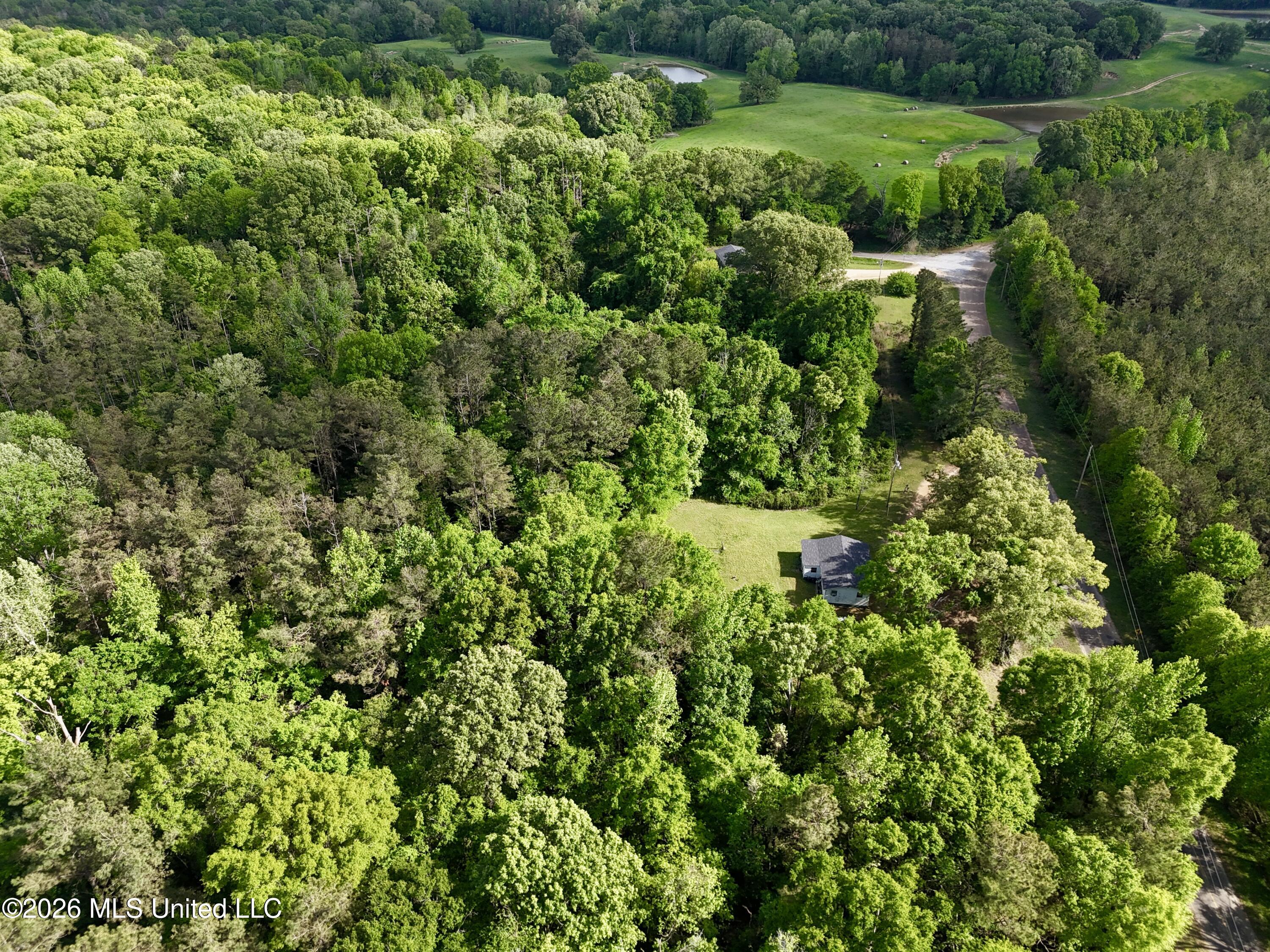 5171 Coxs Ferry Road Bolton, MS 39041 - Photo 14 of 20 B276228D-7956-43F7-A0A0-19E618227C68