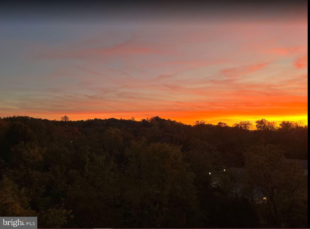6301 Edsall Road, Unit 407 Alexandria, VA 22312 - Photo 26 of 42 Gorgeous Sunsets