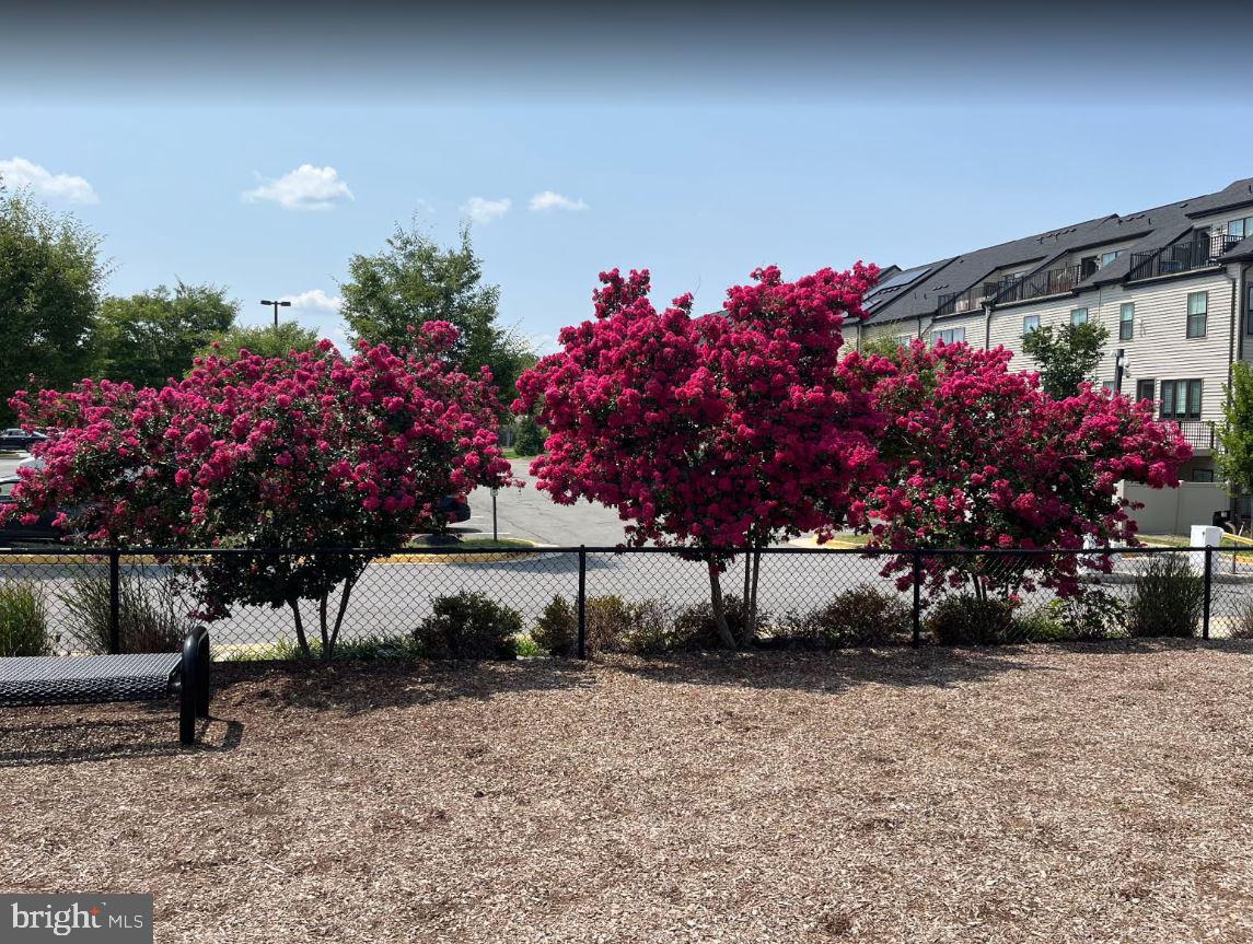 6301 Edsall Road, Unit 407 Alexandria, VA 22312 - Photo 37 of 42 On-Site Dog Park in Spring