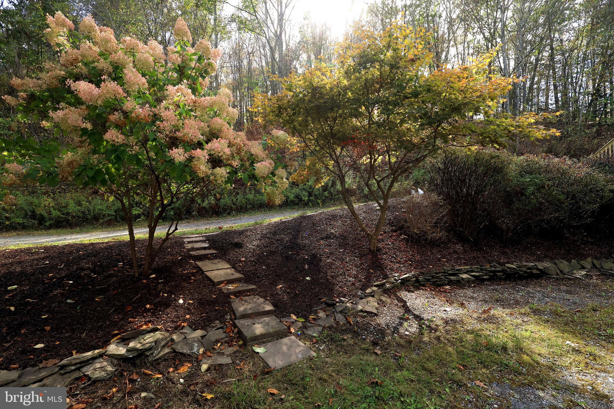 347 West Sawmill Road Port Matilda, PA 16870 - Photo 7 of 60 Gallery Image 7