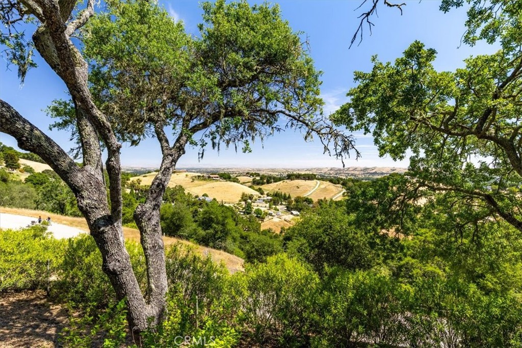 12355 Santa Ana Road Atascadero, CA 93422 - Photo 52 of 57 a view of a yard with a tree