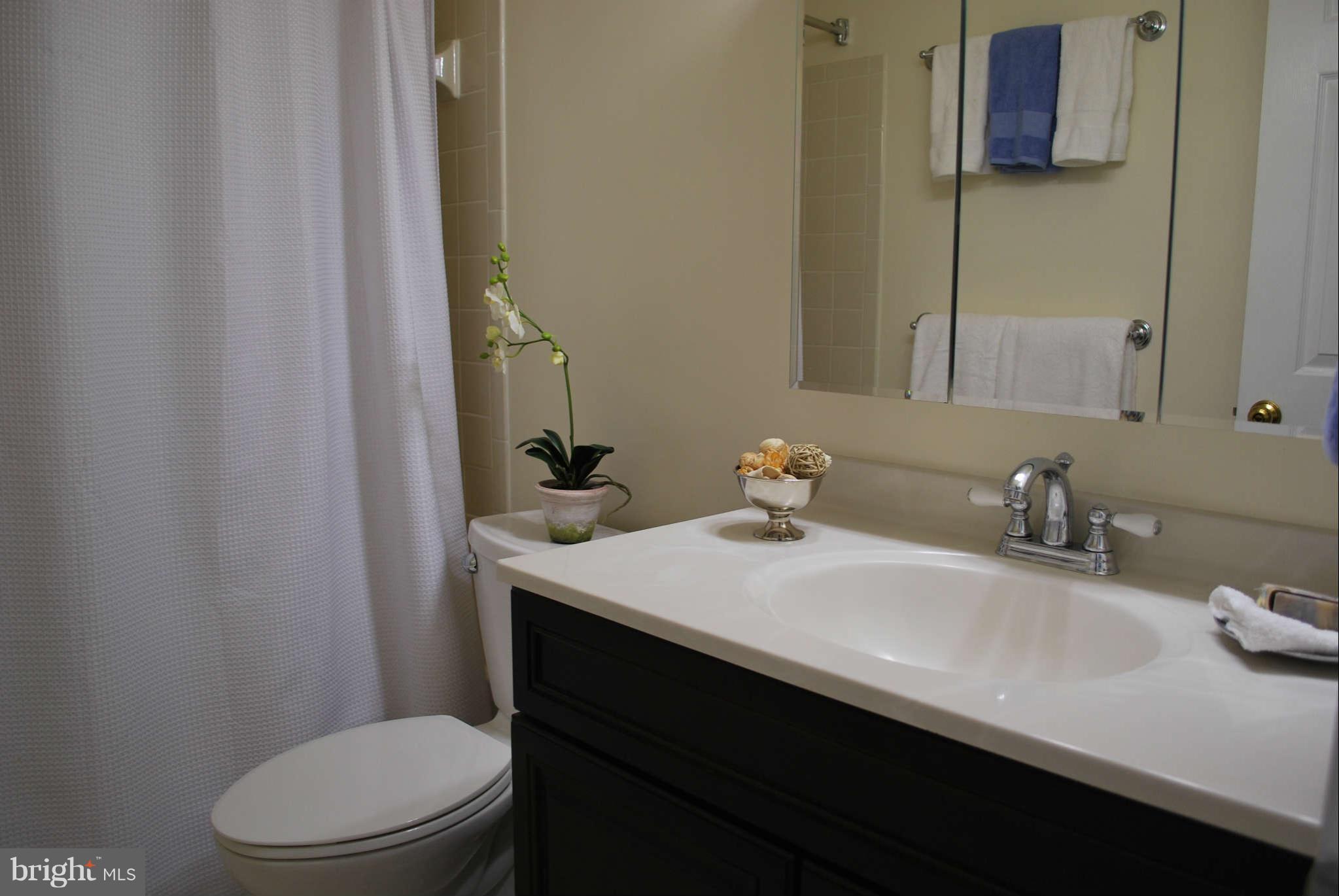 3811 9th Road South Arlington, VA 22204 - Photo 14 of 20 Bath (Master)