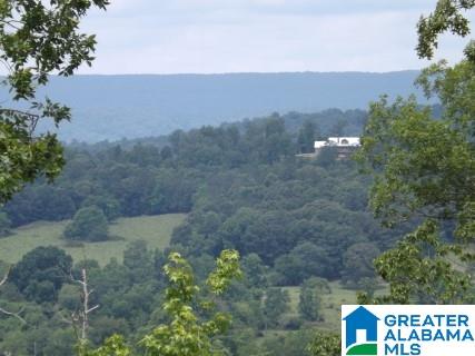 0 Beaver Ridge Drive, Unit 42 48 Ashville, AL 35953 - Photo 25 of 26