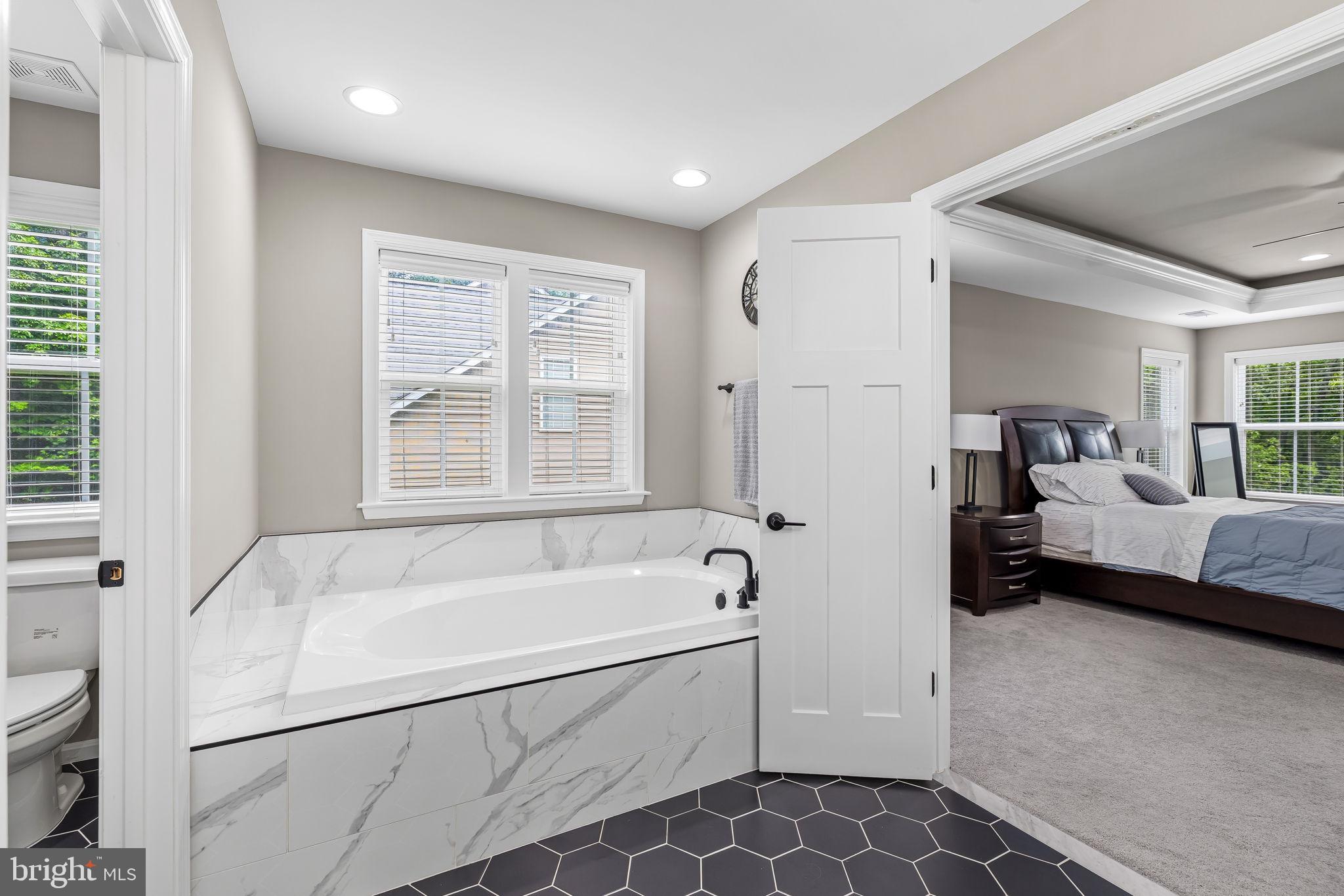 14536 Black Ankle Road Mount Airy, MD 21771 - Photo 19 of 41 Elegant bathroom with modern finishes.