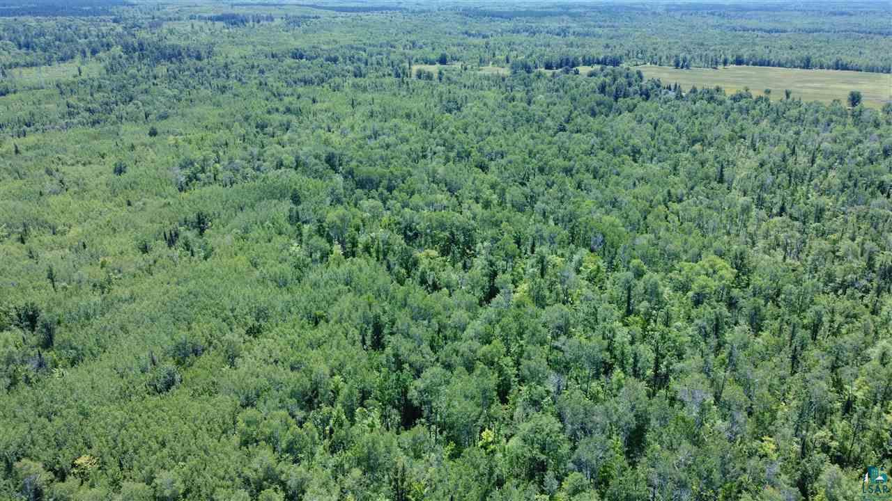 9600 Mannik Road Iron River, WI 54847 - Photo 6 of 18
