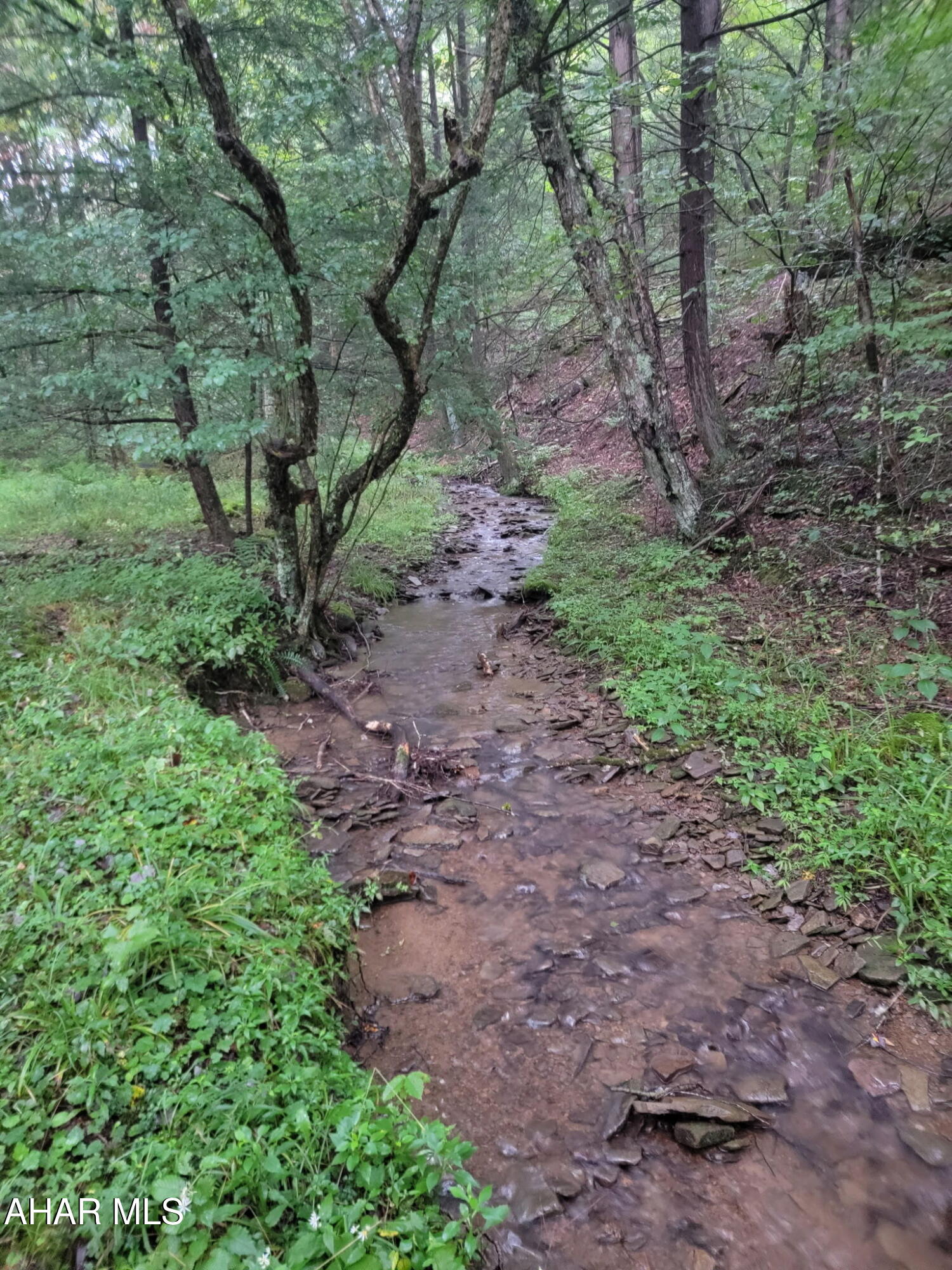 924 Sizer Run Road Emporium, PA 15834 - Photo 11 of 20 Gallery Image 11