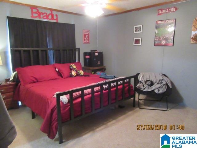 455 Francis Mill Road Ohatchee, AL 36271 - Photo 14 of 49